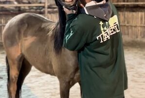 Ayush - Yoga Trainer and Horse Whisperer